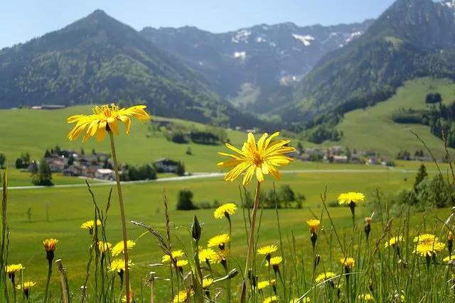Bild: Herbstsaison in den Alpen: Wanderer sehen die Berge von ihrer farbenprächtigsten Seite