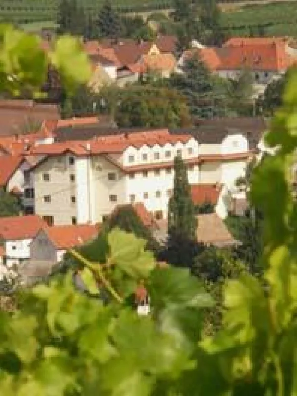 Idealer Ausgangspunkt für Wanderungen entlang der Deutschen Weinstraße und im romantischen Leiningerland ist das Pfalzhotel Asselheim, seit 14. August 2009 ein zertifiziertes Wanderhotel.