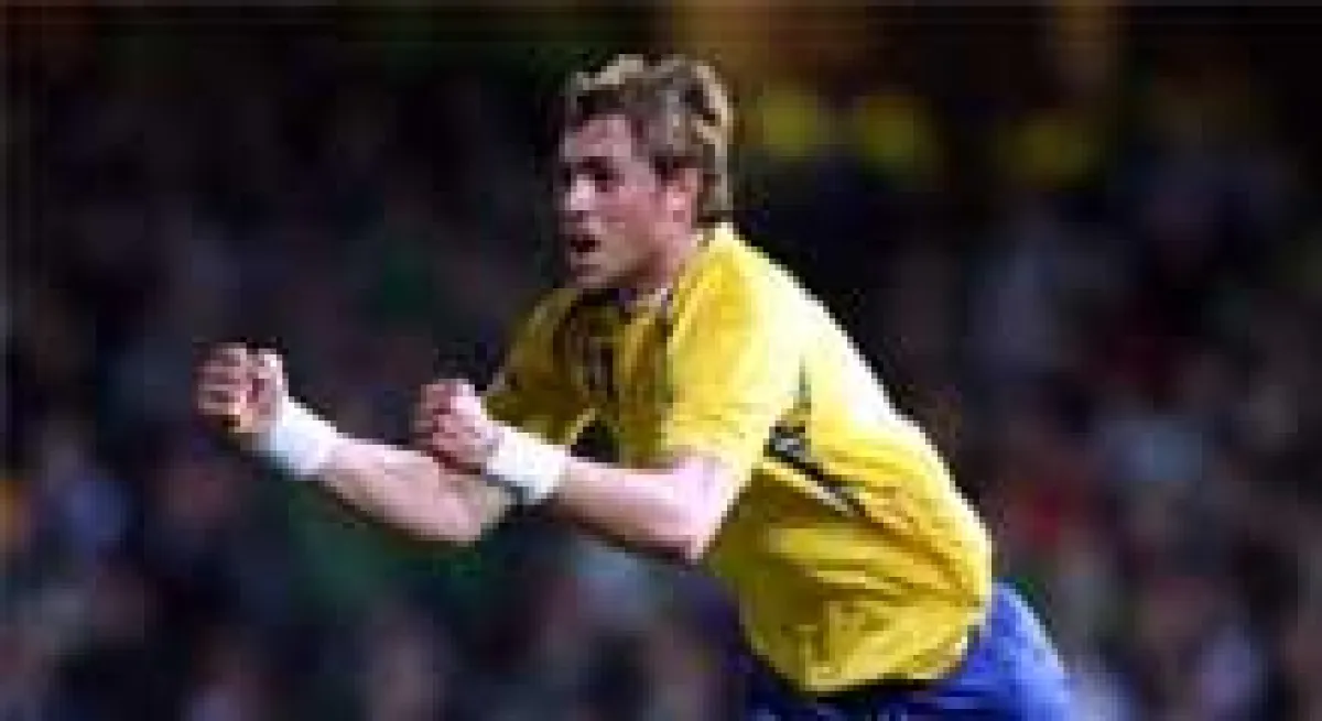 Fußball-Europameisterschaft 2008: Johan Elmander