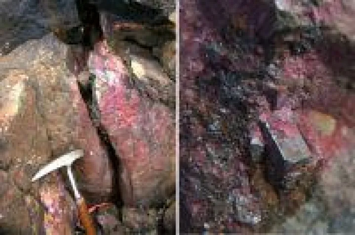 Bild: Ist Go Cobalt der nächste Gewinner im Elektrifizierungsboom?