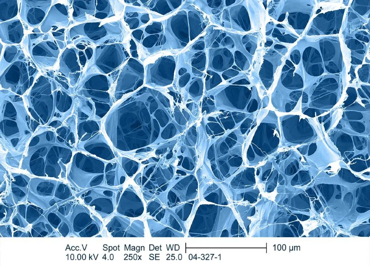 Rasterelektronenmikroskopischen Aufnahme (REM) der von der Dr. Suwelack Skin & Health Care AG entwickelten Kollagenmatrix, die als ein 1 mm dickes Sheet hergestellt wurde.