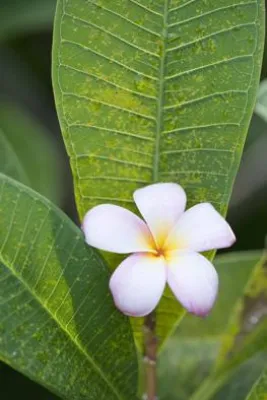 Bild: Project Competition Go Green – MVG erneut ausgezeichnet