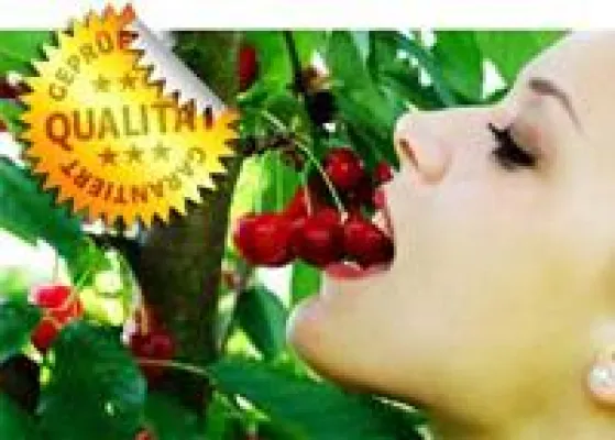 Bild: Stockfotos mit Geld-zurück-Garantie - Der Royalty Free Anbieter Shotshop.com startet eine Qualitätsoffensive