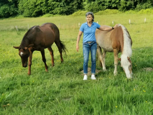 Bild: Tierschutz & Soziales: Düsseldorfer Seniorpferde ziehen nach Ratingen