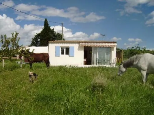 Bild: Im Urlaub dem eigenen Pferd ganz nah