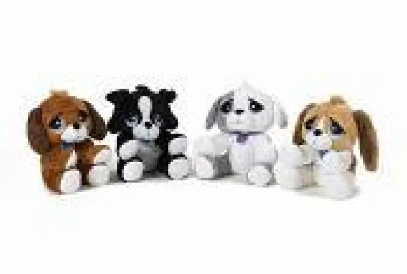Bild: Rescue Pets: liebenswürdige Vierbeiner suchen ein Zuhause