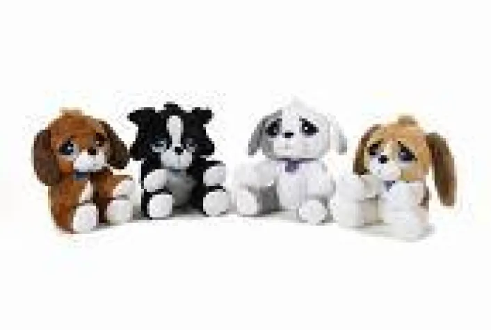 Bild: Rescue Pets: liebenswürdige Vierbeiner suchen ein Zuhause
