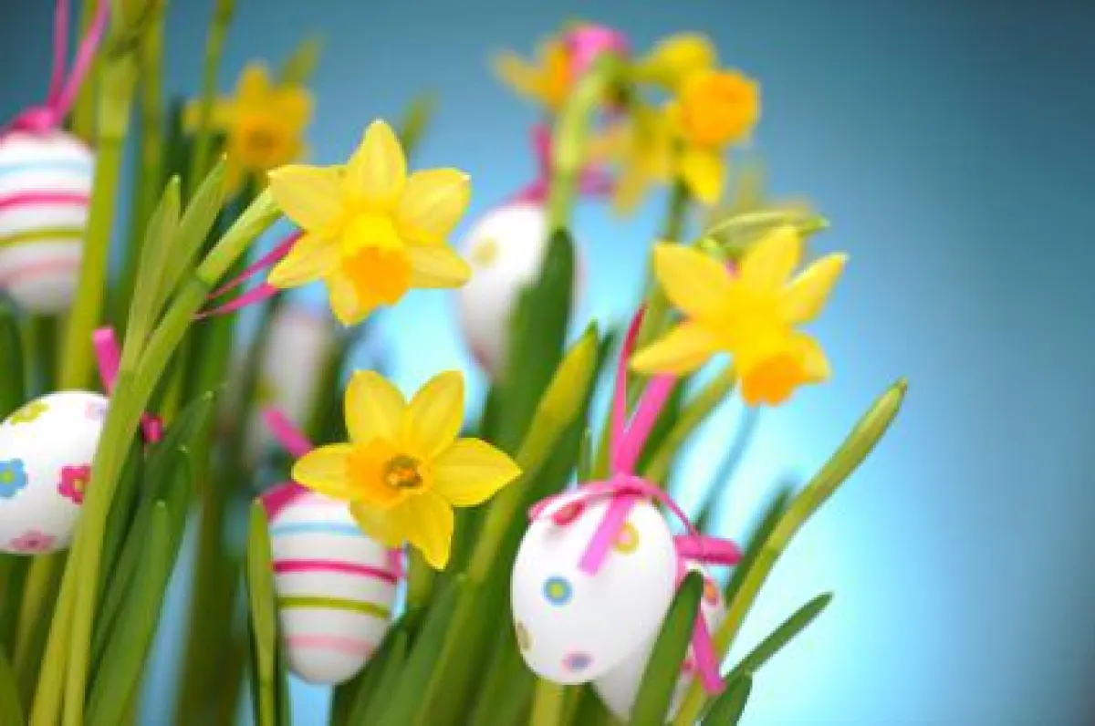 Ostern im Schwarzwald im Hotel Pflug