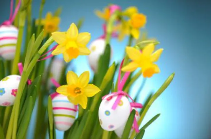 Bild: Urlaub im Schwarzwald an Ostern mit Ausflügen