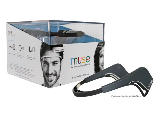 Bild: Muse - der Gehirntrainer für den Alltag