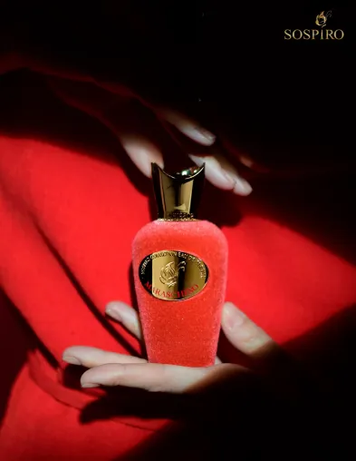 Maraschino Eau de Parfum Bild: Maraschino Eau de Parfum