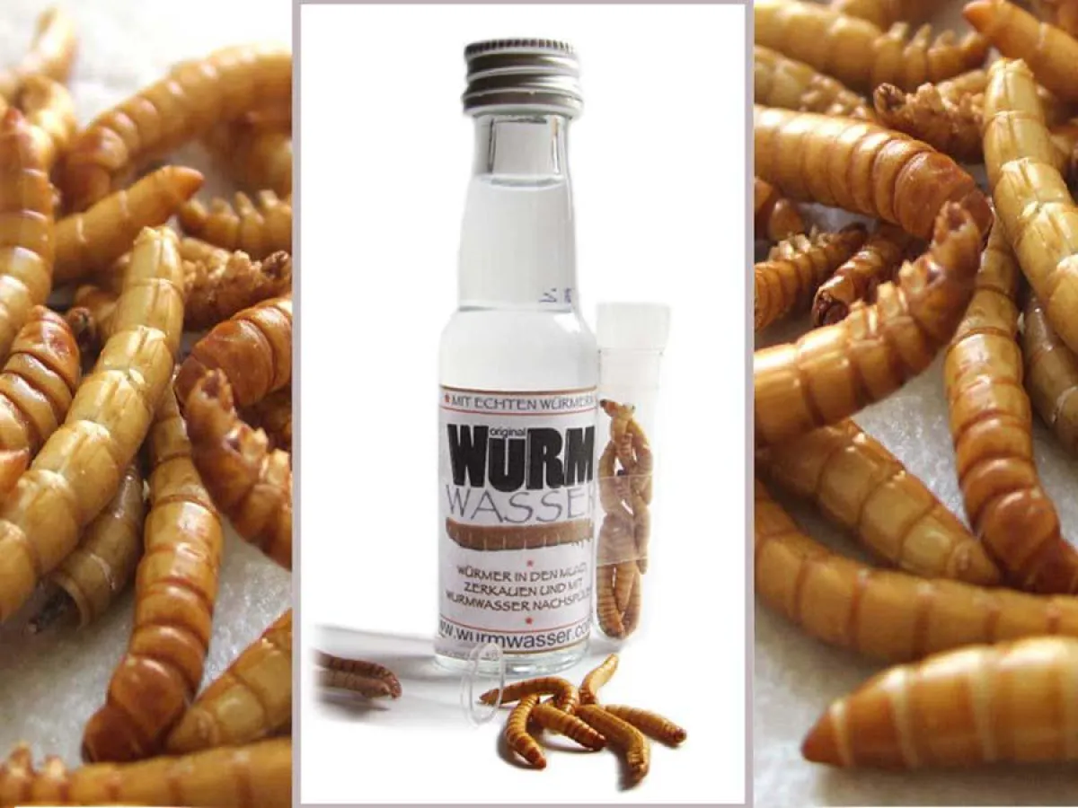 Original WURMWASSER mit echten Snack-Würmern