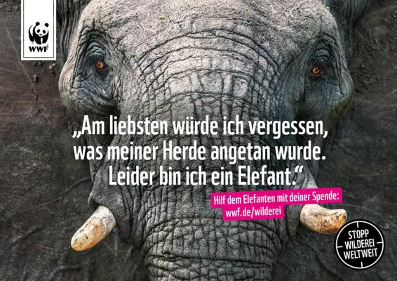 Bild: TRACK sagt mit dem WWF gemeinsam der Wilderei den Kampf an