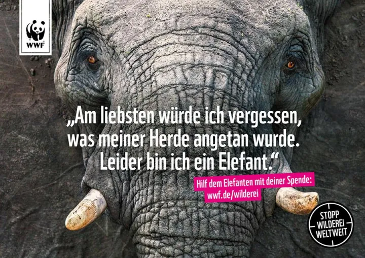 Bild: TRACK sagt mit dem WWF gemeinsam der Wilderei den Kampf an