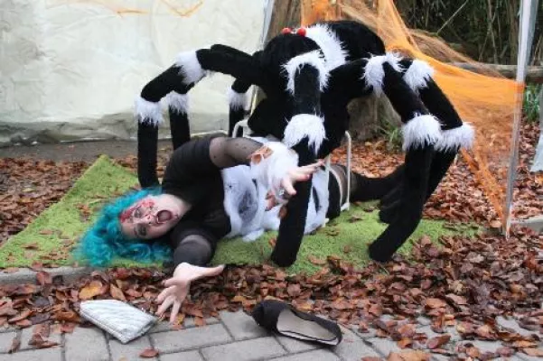 Bild: Gruselspaß und Zaubershow: Halloween-Festival im Zoo Osnabrück