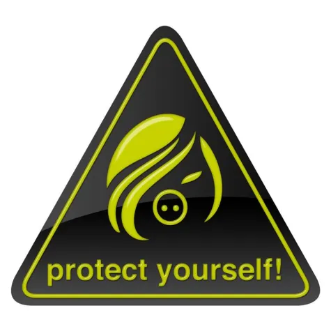 Bild: Party ja, Schweinegrippe nein