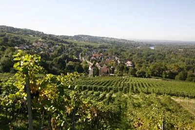 Bild: Lehrreiche und genussvolle Weinerlebnisse im Markgräflerland