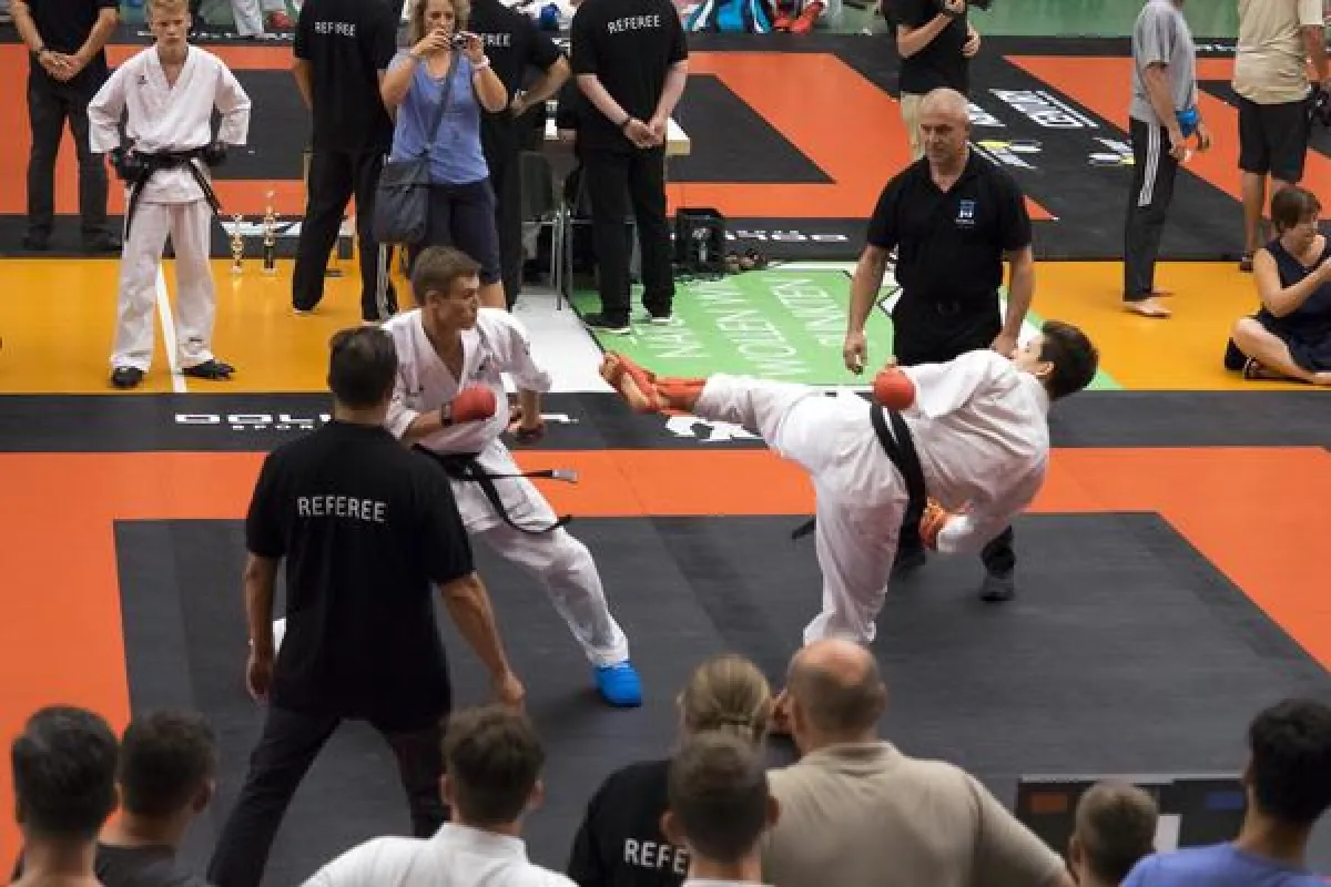 Deutsche Karate Meisterschaft 2016 (WKU)