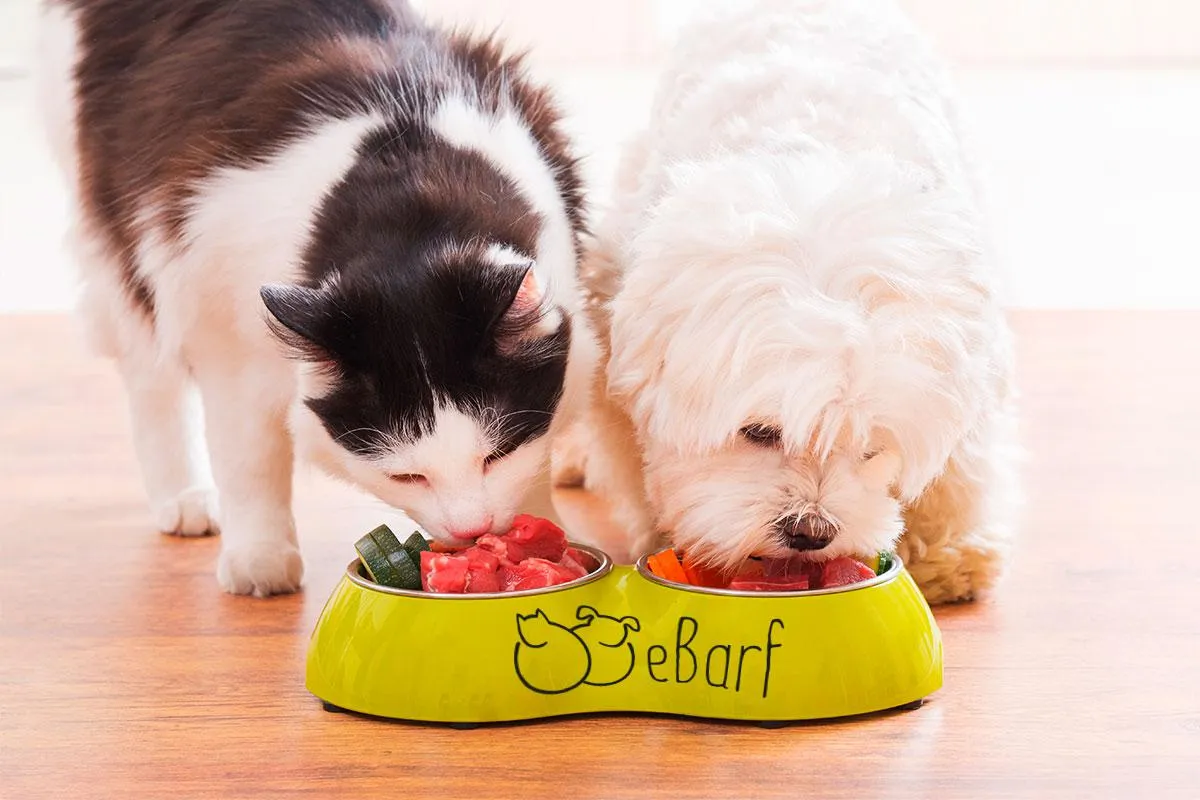 Katzen und Hunde gesund ernähren mit BARF