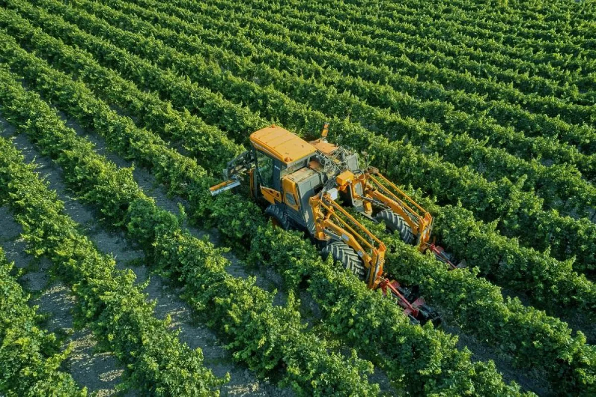 Ermöglicht Winzern kombiniertes Arbeiten: das Multifunktionsgerät „Optimum“.