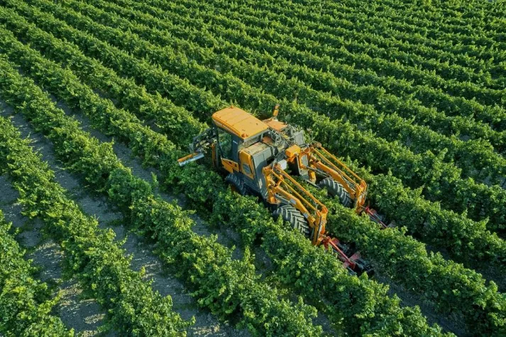 Bild: Ausgezeichnet: Erntemaschine 2 in 1