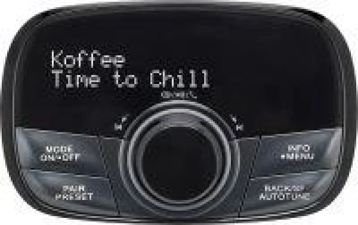 Das GoTune 200 von Sangean