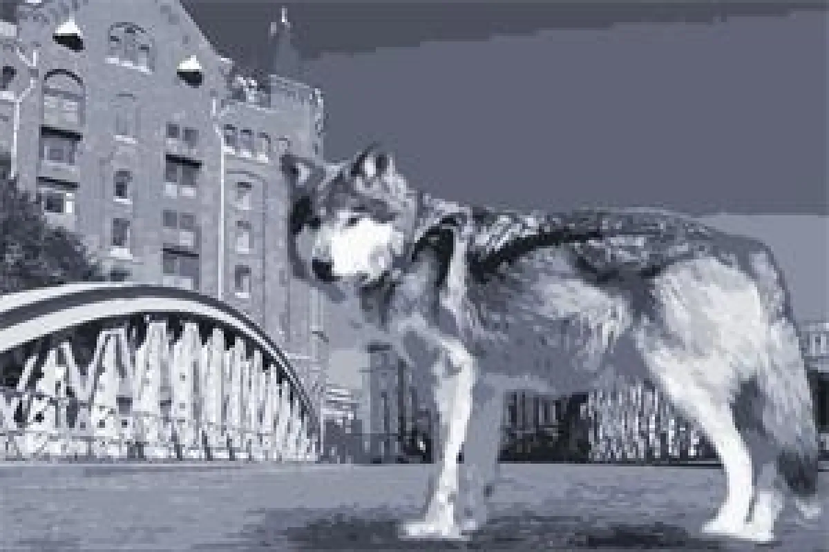 Vergütung auf dem Prüfstand