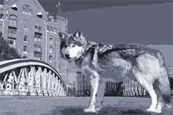 Bild: Vergütung auf dem Prüfstand