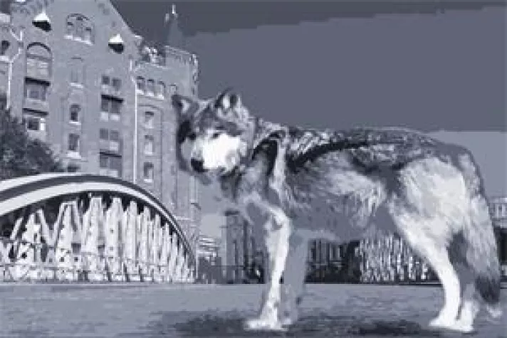 Bild: Vergütung auf dem Prüfstand