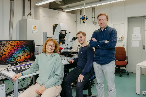 Bild: Forschende der Uni Magdeburg entdecken neue Materialklasse