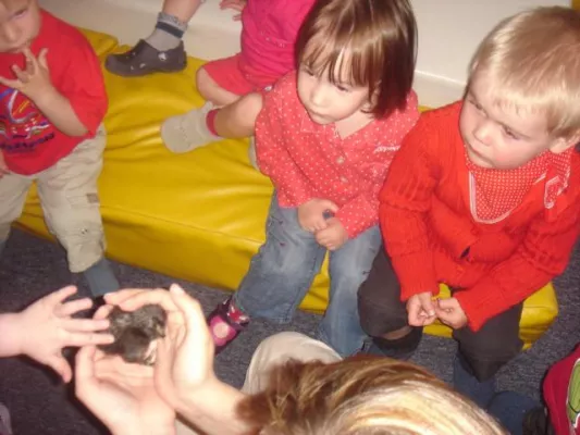 Bild: Putzmuntere Küken erblicken im KAZ das Licht der Welt