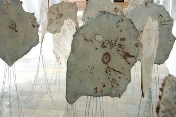 Bild: Bäume in Bewegung: Peter Wagensonner schafft „Lebensbäume_Lebensräume“ in Erlangen