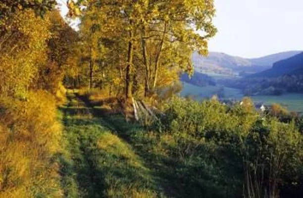 Bild: Wandern im Sauerland neu entdeckt