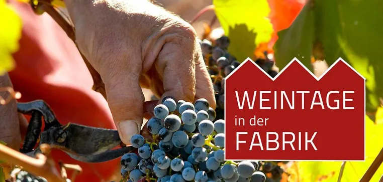 Weintage in der Fabrik Waldkirch - Weinseminar und SEO-Crashkurs für Wein-Fachleute Bild: Weintage in der Fabrik Waldkirch - Weinseminar und SEO-Crashkurs für Wein-Fachleute