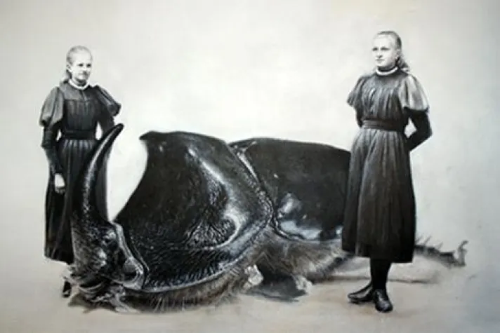 Bild: FrühlingsErwachen in der Achtzig-Galerie