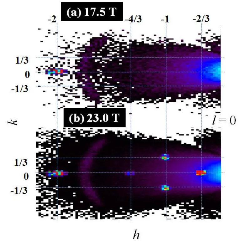 Ab einem Magnetfeld von 23 Tesla erscheinen zusätzliche Flecken auf dem Neutronendetektor, die etwas über die neue magnetische Ordnung im Kristall verraten. (HZB)
