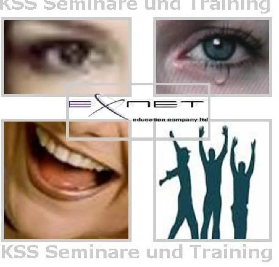 snaps assistance for salesman