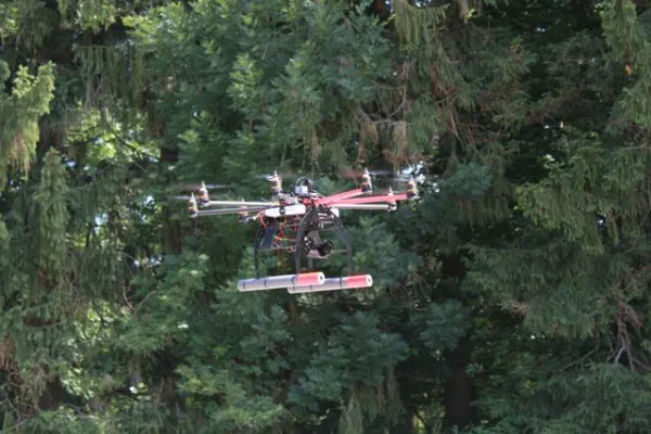 Bild: Schadens- und Bestandskontrollen im Wald:Forstwirtschaft setzt auf Luftaufnahmen