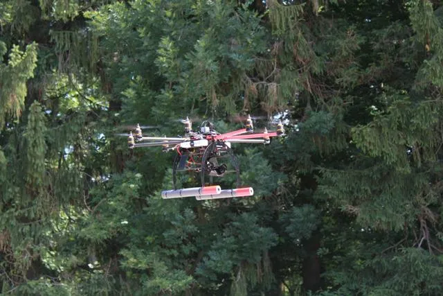 Bild: Schadens- und Bestandskontrollen im Wald:Forstwirtschaft setzt auf Luftaufnahmen
