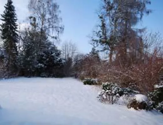 Bild: "Ein Vergleich zwischen Ozean und Baggersee" – Drückt eine dritte Startbahn die Immobilienpreise in München?