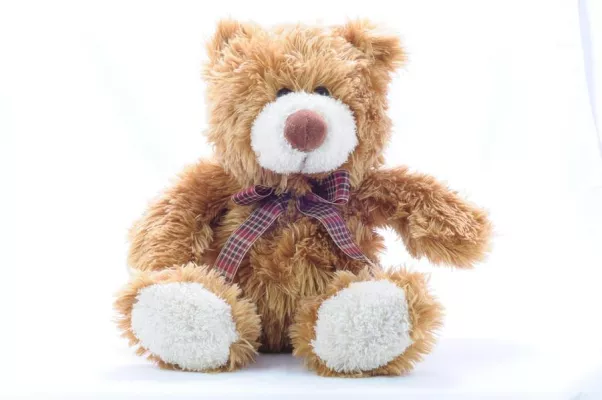 Bild: Alles Plüsch oder was? Der wachsende Markt für individuelle Maskottchen.