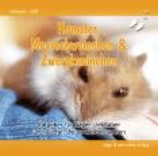Bild: Hamster und Co. stehen bei Kindern auf der Wunschliste ganz oben