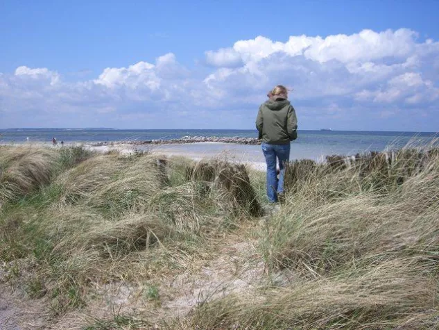 Bild: EUCC-D-Bildungsprojekt „Meer im Fokus“ erneut ausgezeichnet