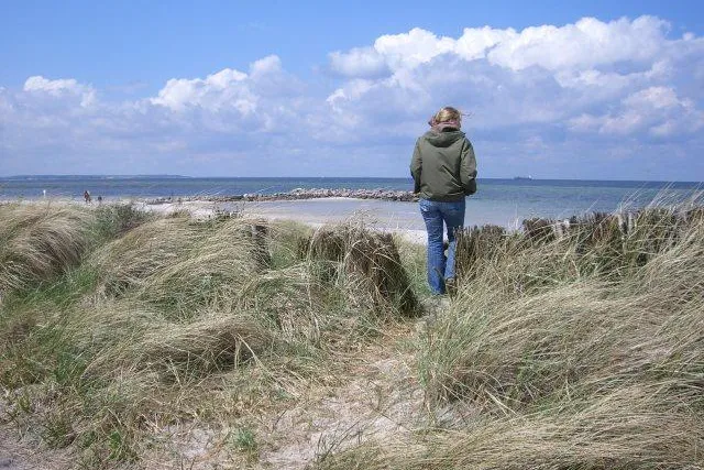 Bild: EUCC-D-Bildungsprojekt „Meer im Fokus“ erneut ausgezeichnet