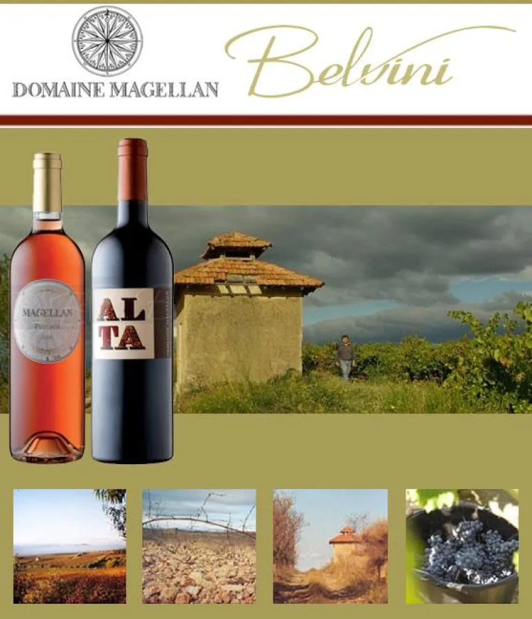 Weine von Domaine Magellan jetzt bei BELVINI.DE