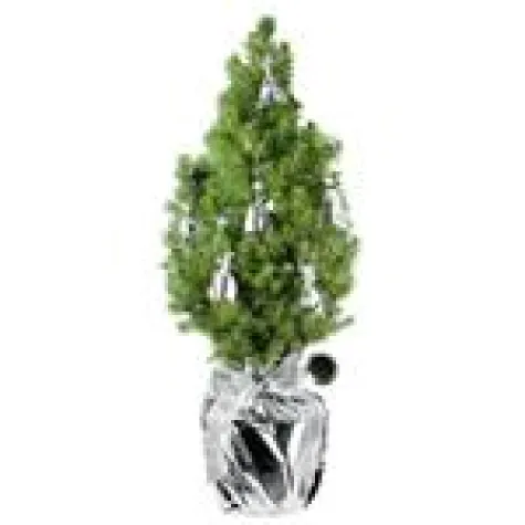 Bild: Weihnachten steht vor der Tür