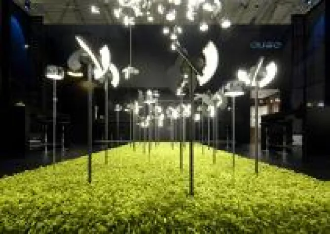 Vielbeachtete Auftritte Bild: Vielbeachtete Auftritte