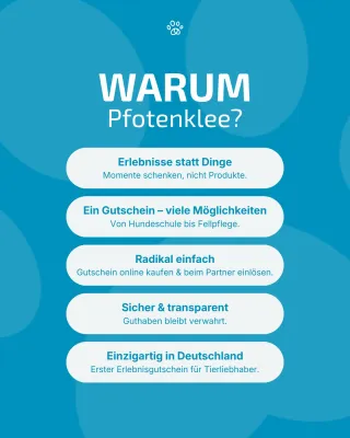 Neu zu Weihnachten: Pfotenklee startet ersten Erlebnisgutschein für Haustiere Bild: Neu zu Weihnachten: Pfotenklee startet ersten Erlebnisgutschein für Haustiere
