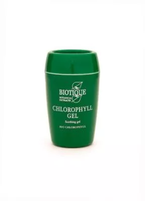 Deutscher Onlineshop für ayurvedische Pflegeprodukte engagiert sich für gemeinnützigen Verein Back to Life e.V. in Indien Bild: Deutscher Onlineshop für ayurvedische Pflegeprodukte engagiert sich für gemeinnützigen Verein Back to Life e.V. in Indien