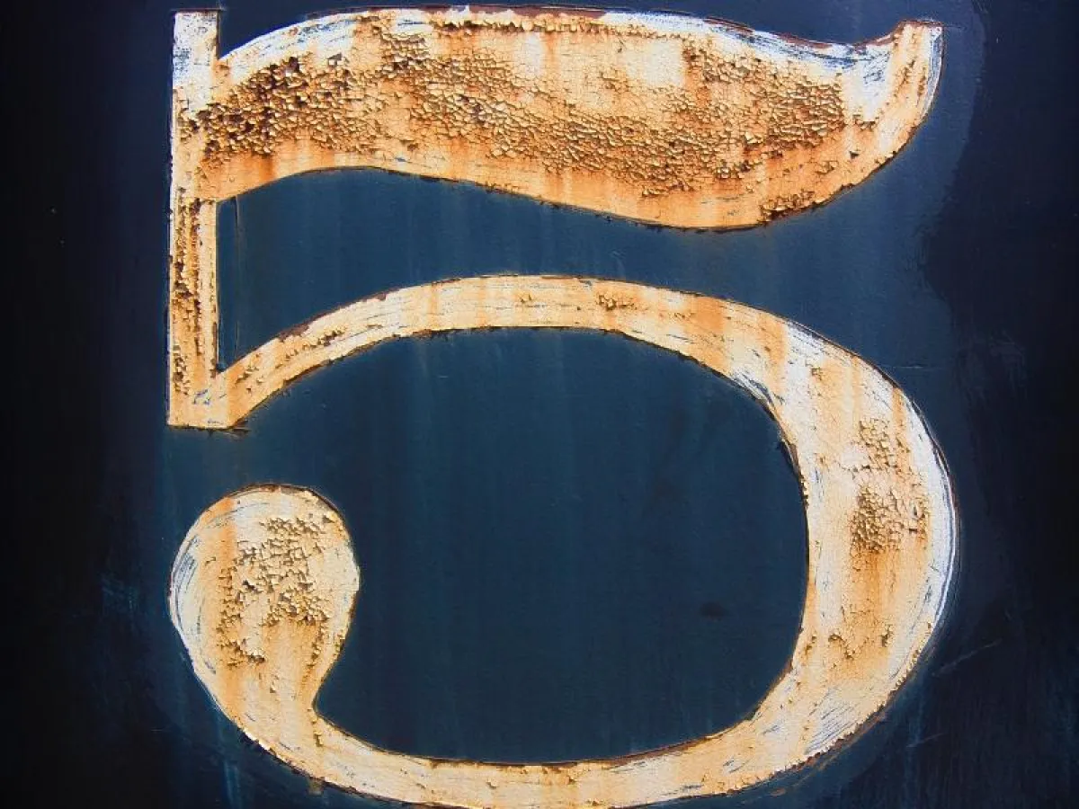 Veggie Radio  - 5 Jahre Sound of Life